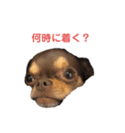 Berne.O（個別スタンプ：7）