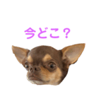 Berne.O（個別スタンプ：8）