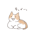 猫のれもんちゃん（個別スタンプ：1）