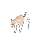 猫のれもんちゃん（個別スタンプ：16）