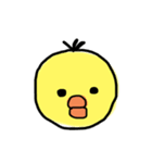 ゆるださひよこ（個別スタンプ：1）