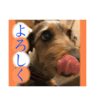 おこず（個別スタンプ：6）