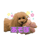 のあとおはなの挨拶（個別スタンプ：1）