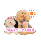 のあとおはなの挨拶（個別スタンプ：3）