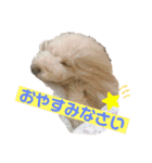 のあとおはなの挨拶（個別スタンプ：4）