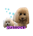 のあとおはなの挨拶（個別スタンプ：8）