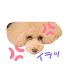 のあとおはなの挨拶（個別スタンプ：9）