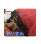 ムック君のスタンプ（個別スタンプ：3）
