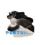 ムック君のスタンプ（個別スタンプ：12）