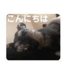 ムック君のスタンプ（個別スタンプ：16）