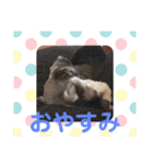 ムック君のスタンプ（個別スタンプ：20）