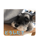 ムック君のスタンプ（個別スタンプ：28）