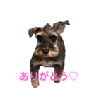 ムック君のスタンプ（個別スタンプ：30）