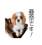 亜奈ちゃんのスタンプ by CoCo STAMP（個別スタンプ：2）