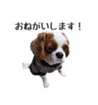 亜奈ちゃんのスタンプ by CoCo STAMP（個別スタンプ：6）