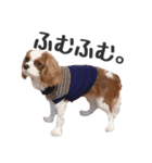 亜奈ちゃんのスタンプ by CoCo STAMP（個別スタンプ：8）