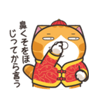 ランラン猫お正月の巻☆子年 (日本語)（個別スタンプ：17）