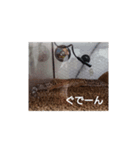 ほむらさん うちのレオパ（個別スタンプ：9）