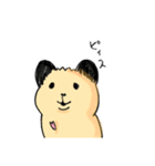 キンクマのもちくん（個別スタンプ：13）