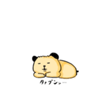 キンクマのもちくん（個別スタンプ：14）