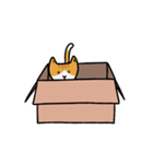 猫は箱が好き（個別スタンプ：10）