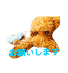 トイプードル のれおくん（個別スタンプ：8）