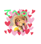 トイプードル のれおくん（個別スタンプ：19）