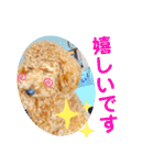 トイプードル のれおくん（個別スタンプ：23）