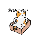 猫は箱が好き(Japanese ver.)（個別スタンプ：2）