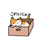 猫は箱が好き(Japanese ver.)（個別スタンプ：6）