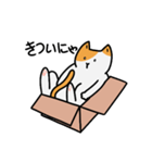 猫は箱が好き(Japanese ver.)（個別スタンプ：9）