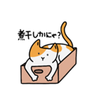 猫は箱が好き(Japanese ver.)（個別スタンプ：23）