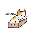 猫は箱が好き(Japanese ver.)（個別スタンプ：29）