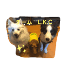 Team LKC第二弾（個別スタンプ：1）