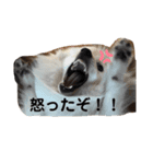 Team LKC第二弾（個別スタンプ：2）