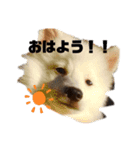Team LKC第二弾（個別スタンプ：4）