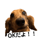 Team LKC第二弾（個別スタンプ：5）