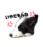 Team LKC第二弾（個別スタンプ：6）