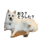 Team LKC第二弾（個別スタンプ：7）