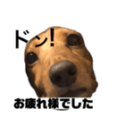 Team LKC第二弾（個別スタンプ：8）