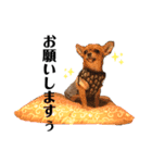 ベイビータンゴのスタンプ3（個別スタンプ：6）
