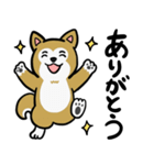 まじめに生きる芝犬くんのスタンプ（個別スタンプ：1）