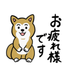 まじめに生きる芝犬くんのスタンプ（個別スタンプ：3）