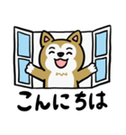 まじめに生きる芝犬くんのスタンプ（個別スタンプ：5）