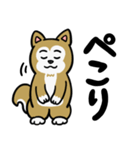 まじめに生きる芝犬くんのスタンプ（個別スタンプ：7）