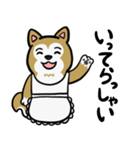 まじめに生きる芝犬くんのスタンプ（個別スタンプ：9）