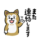 まじめに生きる芝犬くんのスタンプ（個別スタンプ：17）