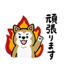 まじめに生きる芝犬くんのスタンプ（個別スタンプ：23）