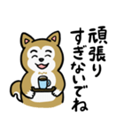 まじめに生きる芝犬くんのスタンプ（個別スタンプ：24）
