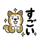 まじめに生きる芝犬くんのスタンプ（個別スタンプ：34）